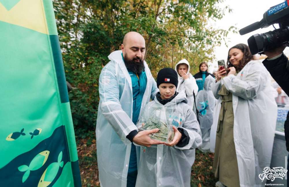 Мальки стерляди Мальки стерляди