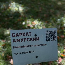 Раифский дендрарий