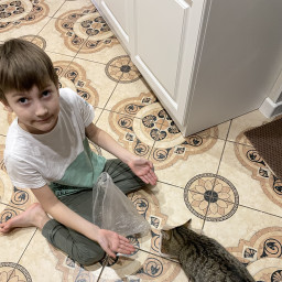 Кормлю котёнка