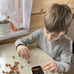 Моё зелёное окно