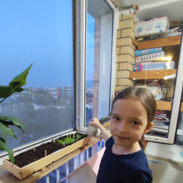 Поливаю свою зелень