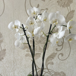 Подарок бабушке