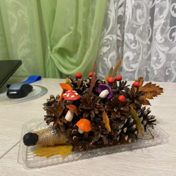 ЭКО ёжик)