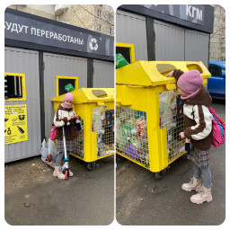 Раздельный сбор мусора