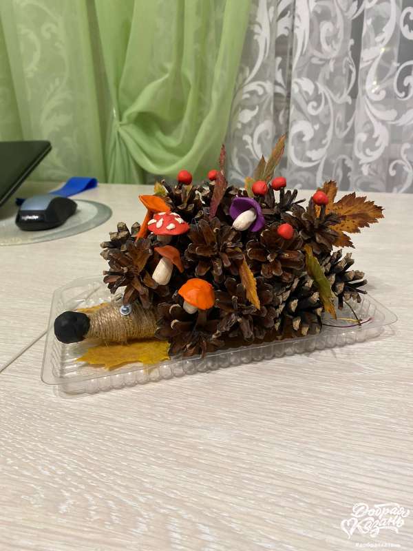 ЭКО ёжик)