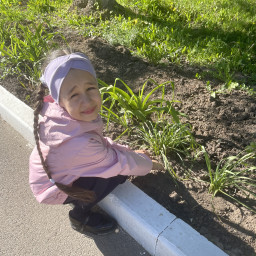 Дерево добра