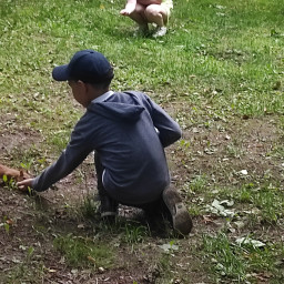 Подкармливаю белочек и птиц