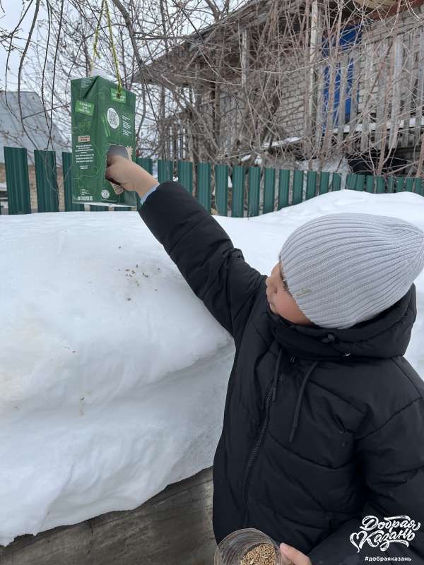 День зимующих птиц России.