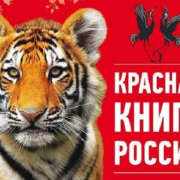 День Красной книги России!