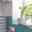 Правильный полив - урок по окружающему миру применяю на практике 1