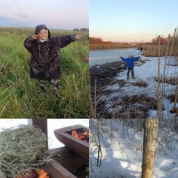 Помощь зайцам