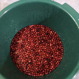 Помог с клюквой