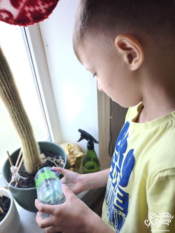 Поливаю кактус счастья  старшего брата