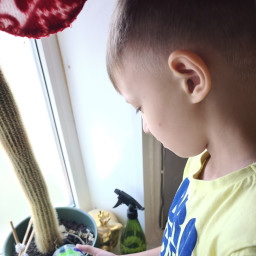 Поливаю кактус счастья  старшего брата