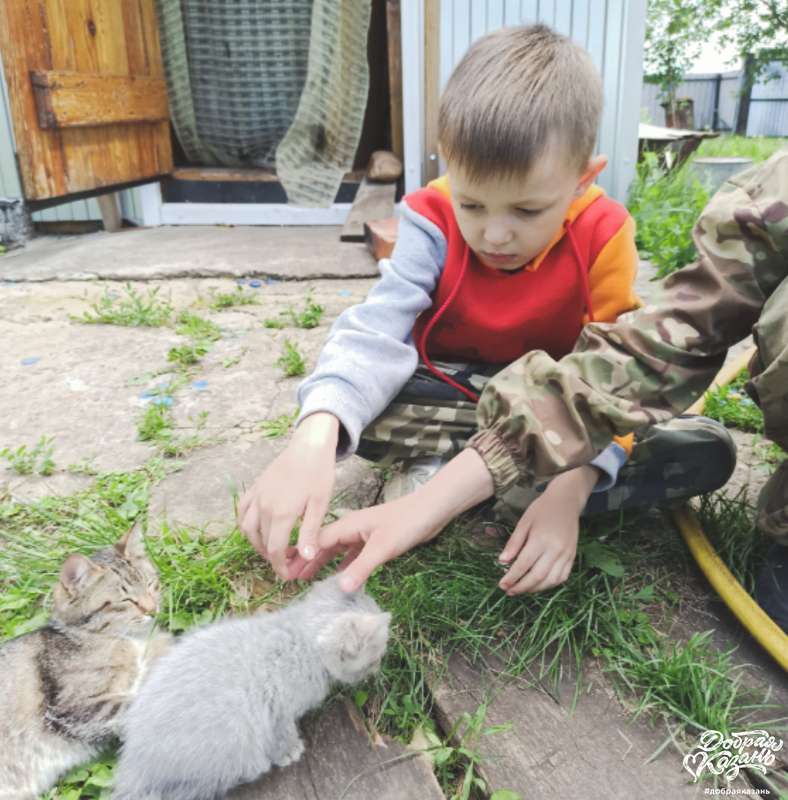 Братья наши меньшие