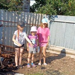 Насыпала травку курочкам