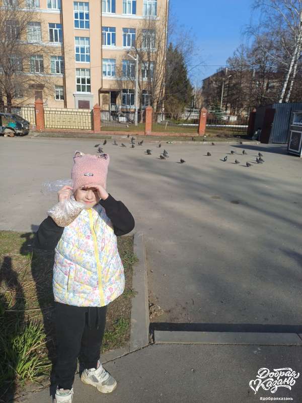 Кормление голубей