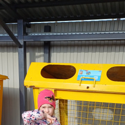 Сдали консервные банки