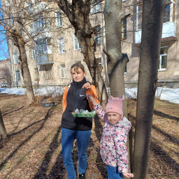 Кормушка из яичного лотка