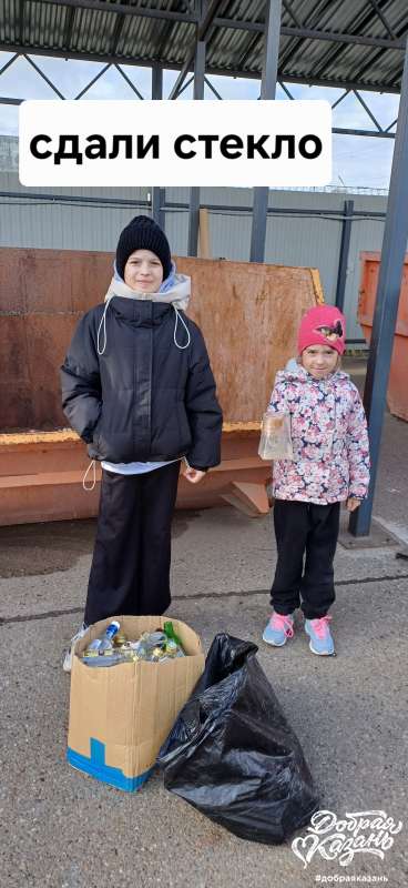 Сдали стекло Сдали стекло