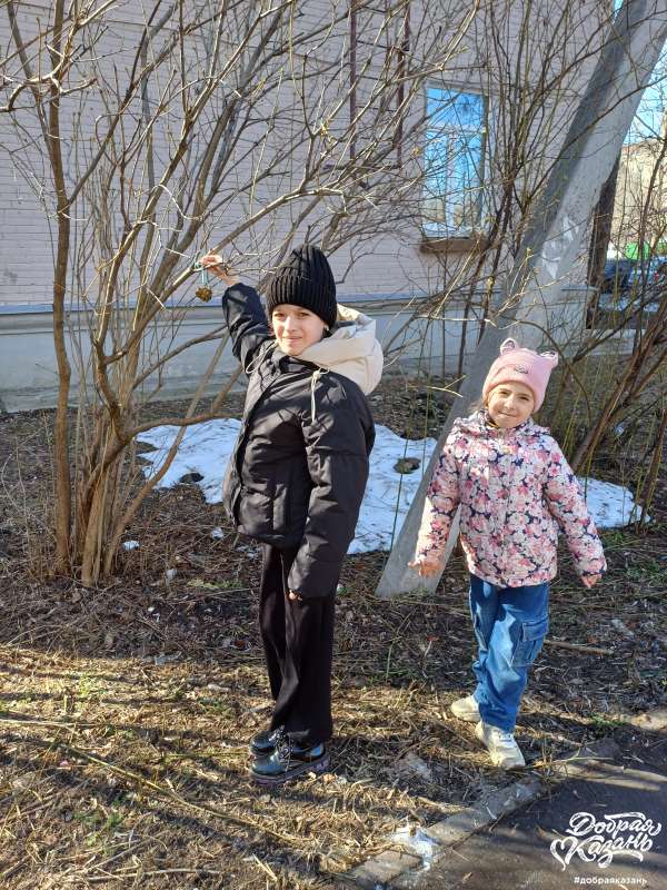 Кормушка из шишки