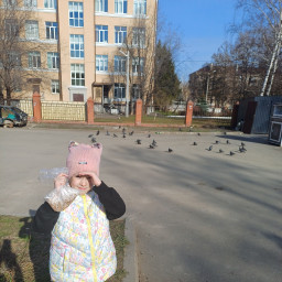 Кормление голубей