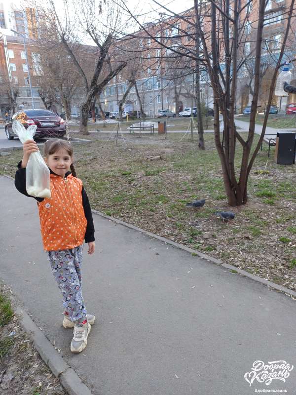 Покормила голубей в сквере