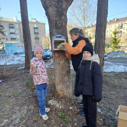 Кормушка из коробки