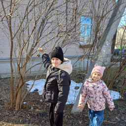 Кормушка из шишки