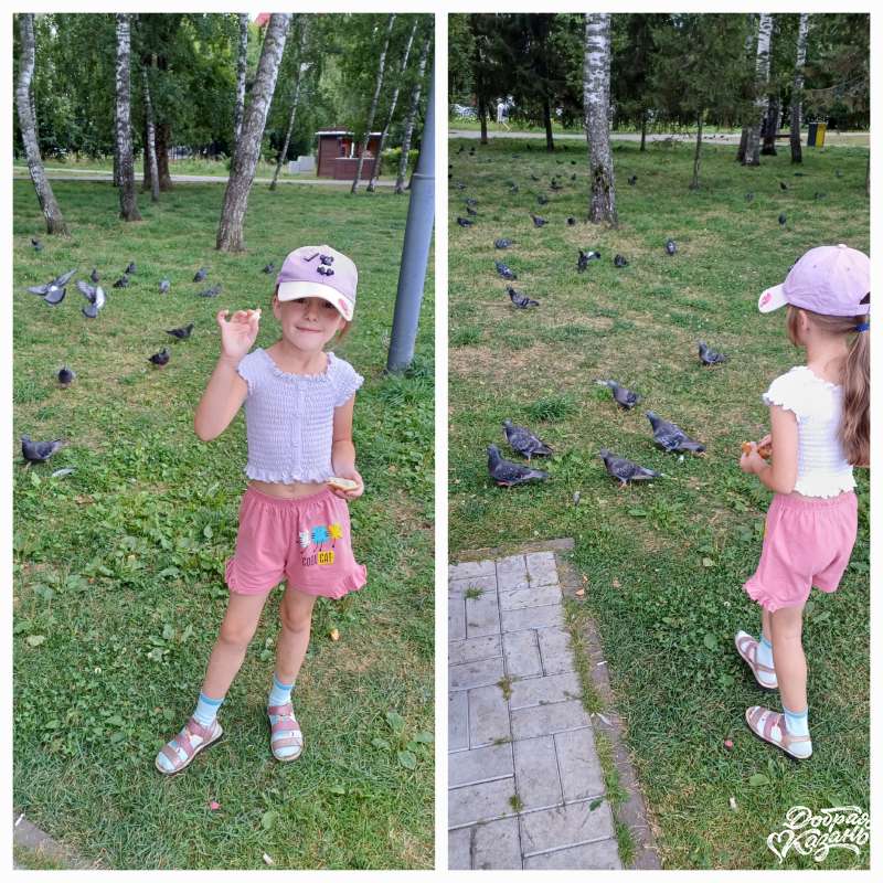 Кормила голубей