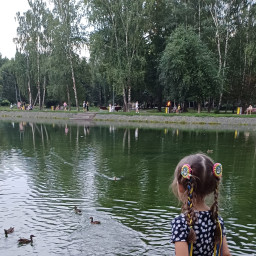 Кормила уточек в парке