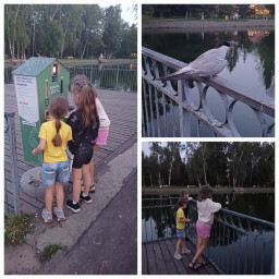 Кормление уточек