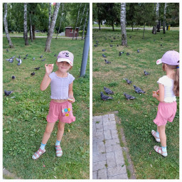 Кормила голубей