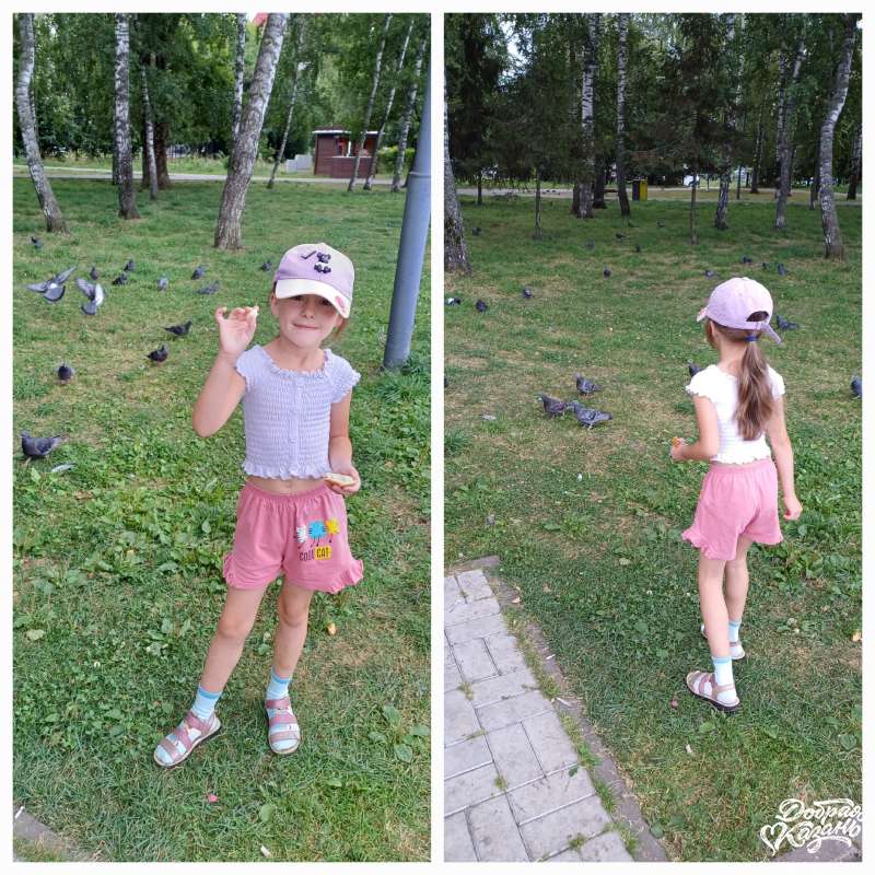 Покормили голубей