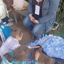 Участие в благотворительной акции "Лапа Добра"