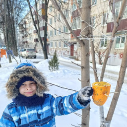 Экологичная кормушка