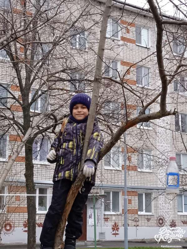 Забота о пернатых Забота о пернатых