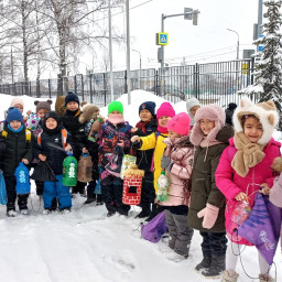 Помощь пернатым.