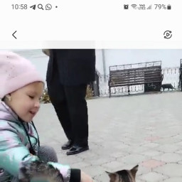 Раифские котики