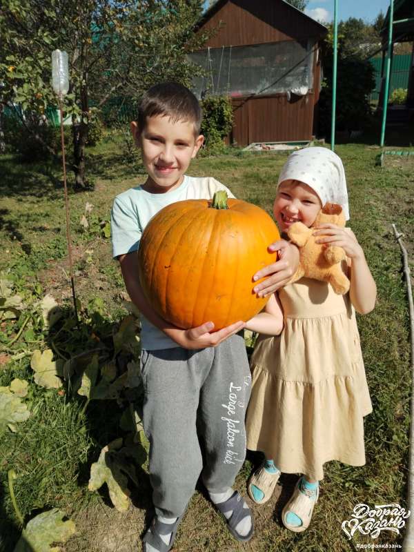 Дары осени