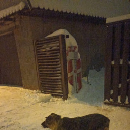 Гулял со своей собакой.