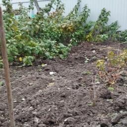 Помощь  моей бабушке