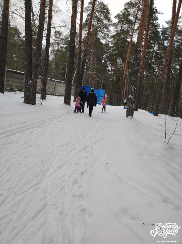 Лыжи