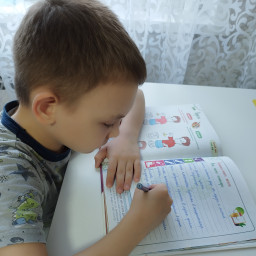 Экологический дневник