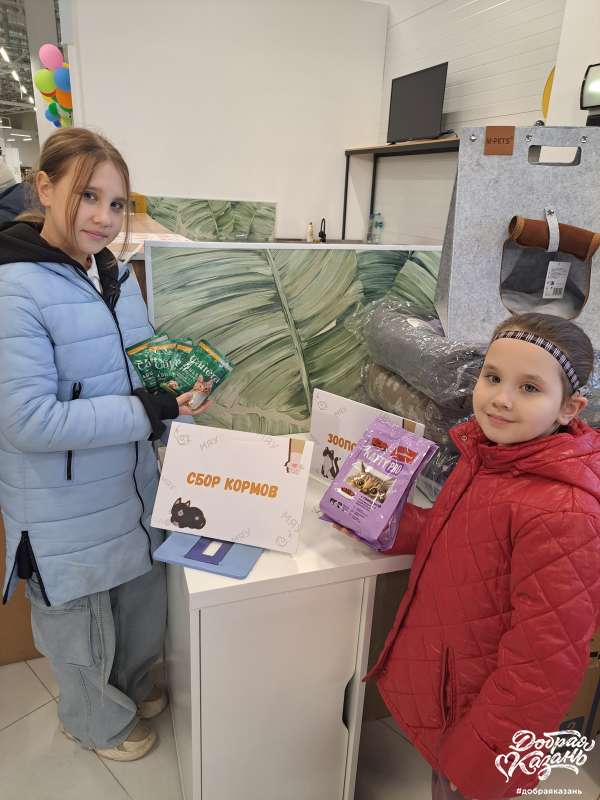 Передали корм на ярмарке пристрое котиков Передали корм на ярмарке пристрое котиков