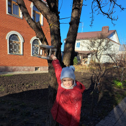 Кормушки нужно постоянно пополнять кормом