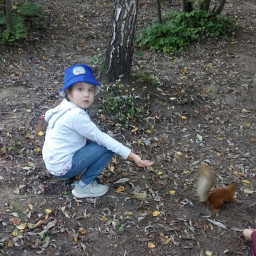 Встретили и покормили белочек в Парке Горького