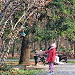 Покормила голубей в парке в Пятигорске.
