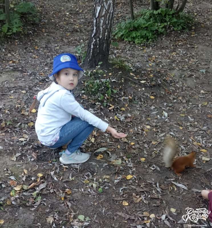 Встретили и покормили белочек в Парке Горького