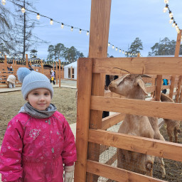 Парк альпак